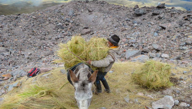 Hiking to the Chimborazo Volcano Ice Mine - Foto 5