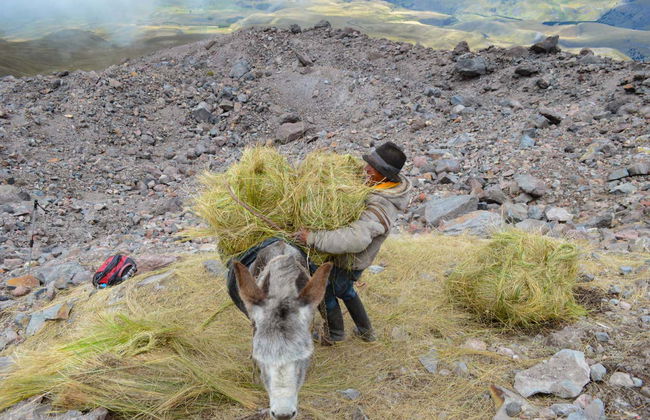 Hiking to the Chimborazo Volcano Ice Mine - Foto 5
