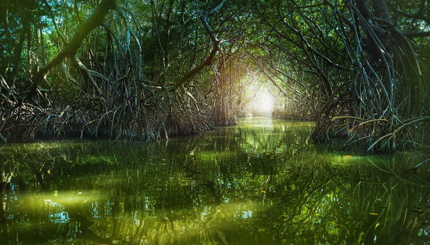 Celestún Day Trip - Photo 2