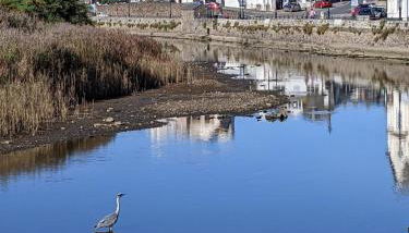 Luxury Lodge sea view at Bideford Bay Hoilday Park Parkdean Resorts - Foto 5