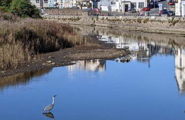 Luxury Lodge sea view at Bideford Bay Hoilday Park Parkdean Resorts - Foto 5
