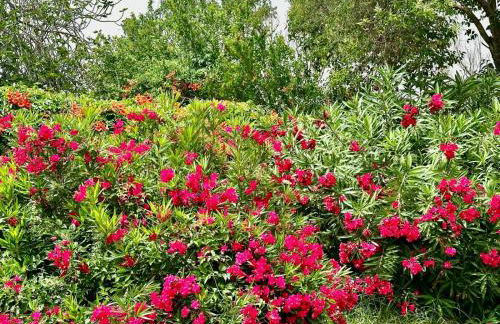 CASA MILA White - Foto 60