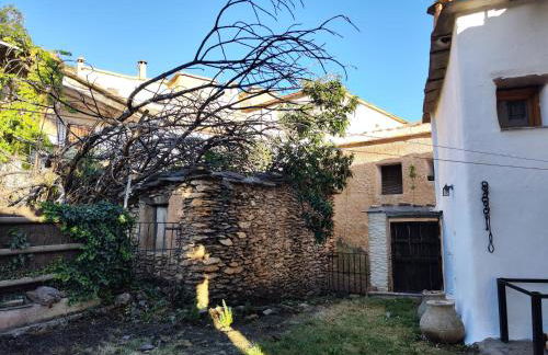 Casa Las Alacenas, Bubión (La Alpujarra, Granada) - Photo 32