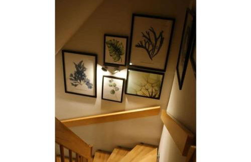 Reethus Starkikker - Foto 28