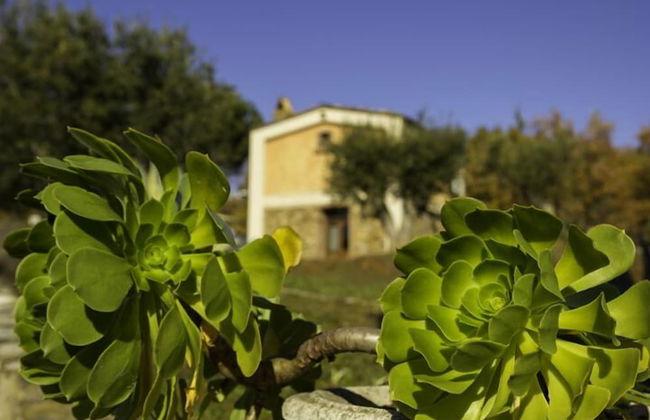 Agriturismo Fonte di Maroglio - Foto 42