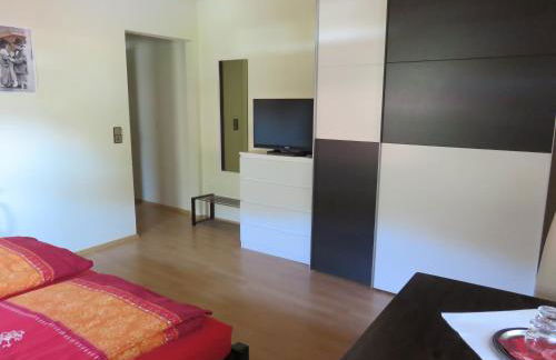 Ferienwohnungen Haus Albert - Foto 23