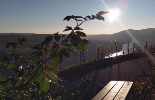 FeWo Sonnenlay - Apartments an der Mosel - Foto 28
