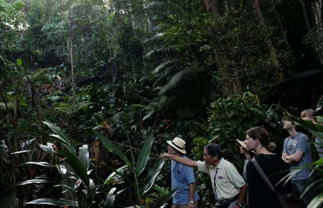 Entrada al Jardín de Especias Tropicales - Foto 7