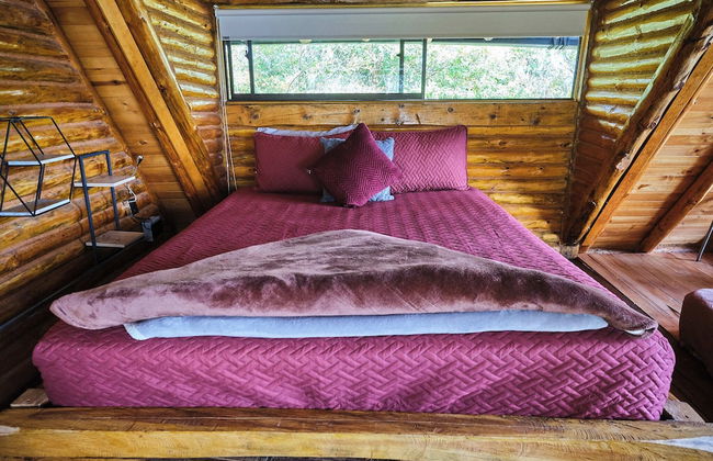 Skyline Ecoliving - Foto 18