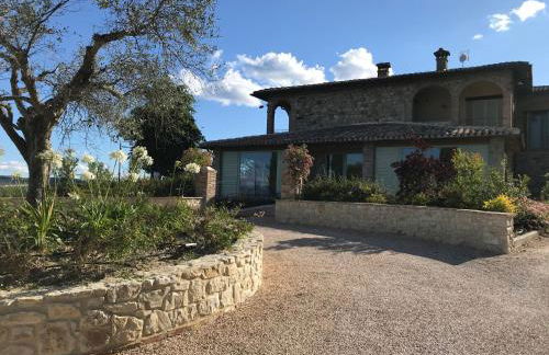 Agriturismo Fattoria di Monticello - Foto 21