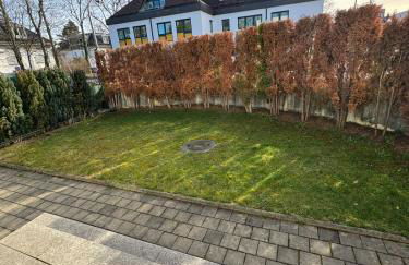 Sahara Falcon - Photo 4