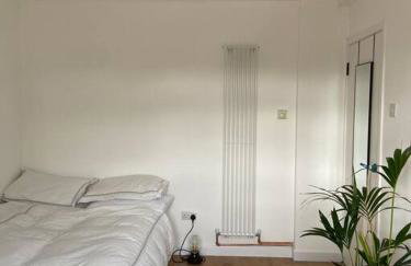 An Oasis in the heart of Hackney - Foto 16