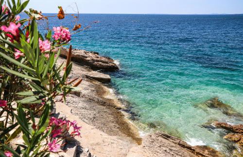 Vila Fenč - Photo 22