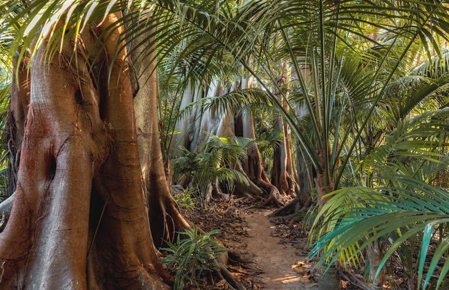 Lorhiti Apartments - Foto 27