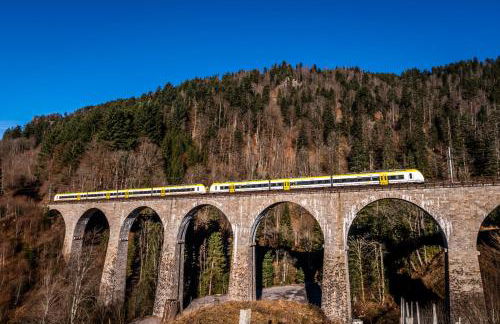 Feriendomizil am Rössleberg, Hinterzarten - Foto 29