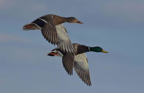 Appt spacieux et lumineux pour 6 pers - Foto 17