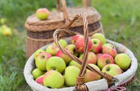 Cottage - Kleine alte Villa am See - Foto 32