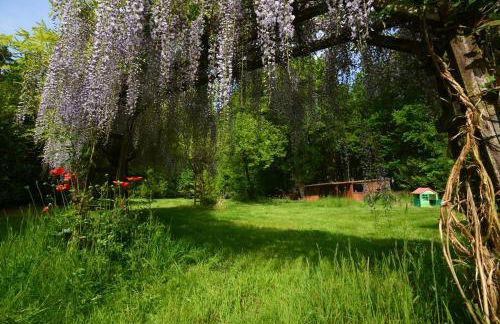 Haus im Grünen - Foto 38