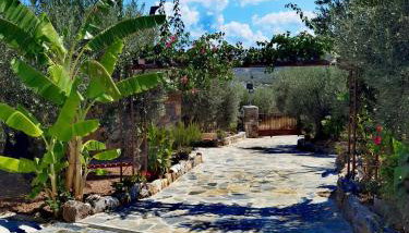 Elaion Thea-Nies - Foto 4