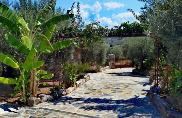 Elaion Thea-Nies - Photo 4