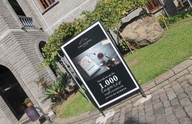 Tour de bodegas del Vale dos Vinhedos - Foto 7