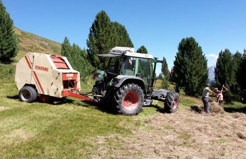 Agriturismo Raethia - Foto 44