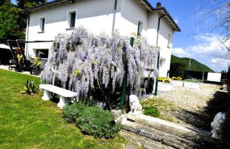 Gan Eden Nature House - Foto 2