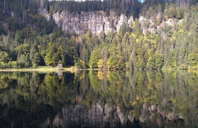 Pine Cones in the Haslehaus - Foto 21