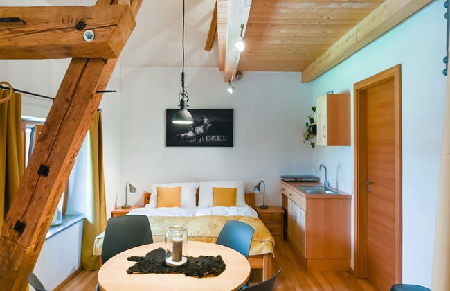 Loft-like Apartment With Swimming Pond - Photo 15