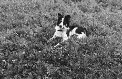 Ferme de Franqueville - Foto 43