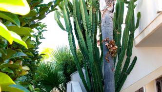 Residence Casa Del Mar Sicilia - Foto 5, Other