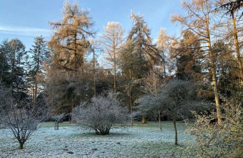 Lynford Holiday Cottages nestled in the heart of Thetford Forest - Foto 55