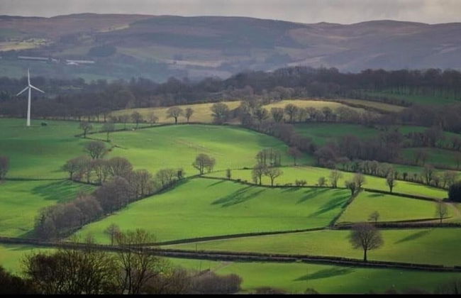 Woodpecker Pod With Views - Photo 10