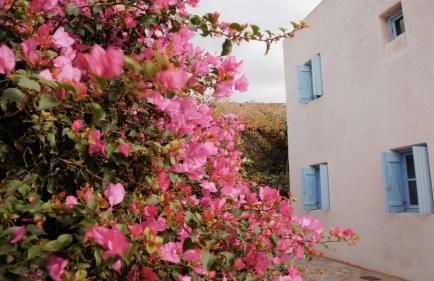 Villa kèalite - Foto 41