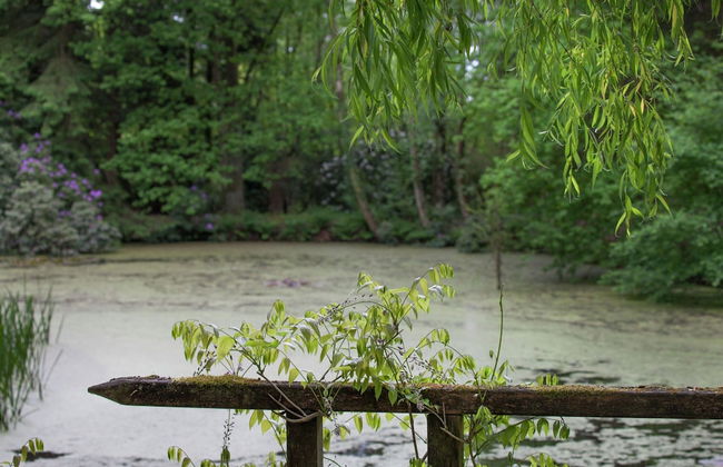 Delightful Chalet in Opglabbeek near Lake - Foto 29