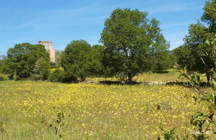 Estrella rural casa rural en la Sierra de Madrid - Foto 24