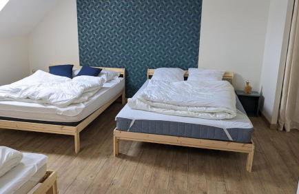 Le Puy de Côme - Foto 16