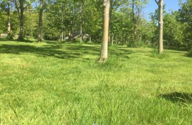 Devon Country Retreat The Linhay at Collaton Farm - Foto 26