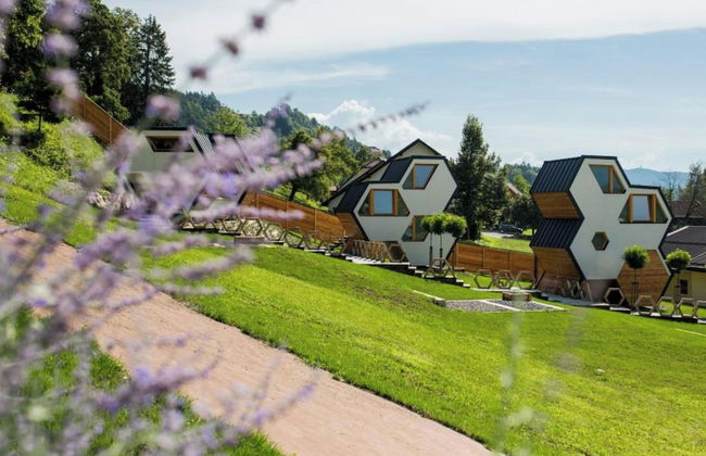 Bee House Flip - Foto 19