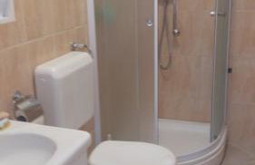 Ruzicin dvor - Photo 66