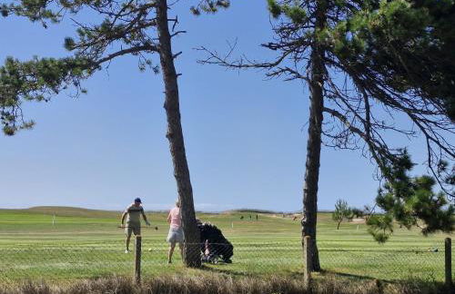 Les Bleuets - Foto 31