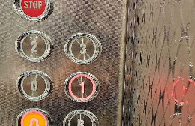 FLOWER1 ALMUGHRIZAT - Foto 7