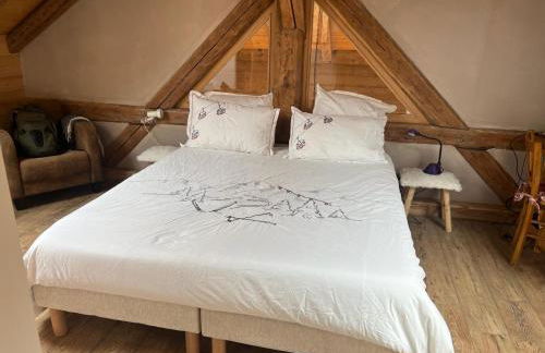 Chalet La Foge - Samoens x 14, skis aux pieds - Photo 12