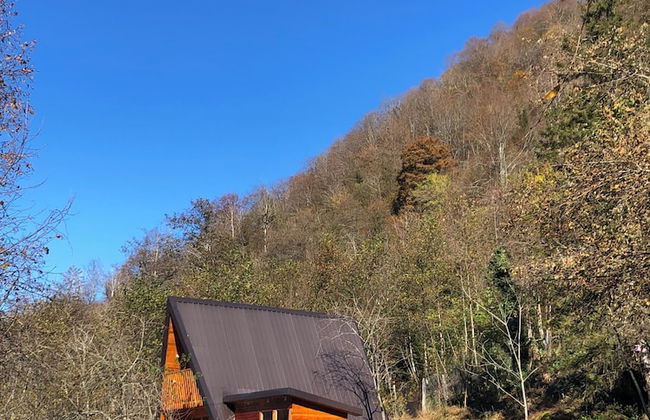 Thomas Hut - Foto 53