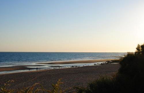 Coto de Sancti Petri - Foto 68