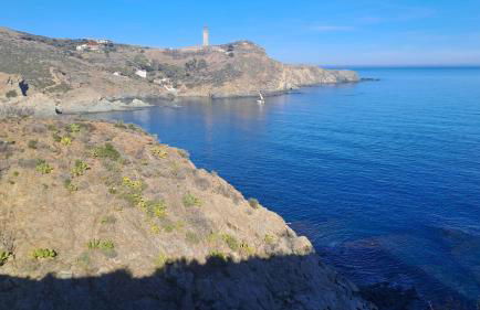 O Petit Bonheur - Photo 19