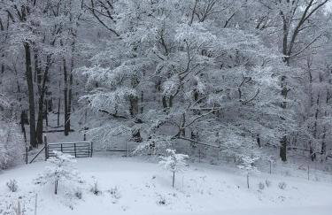 Sullivan Farm at Helton Creek - Fire Pit - Foosball - Fireplace - Photo 4