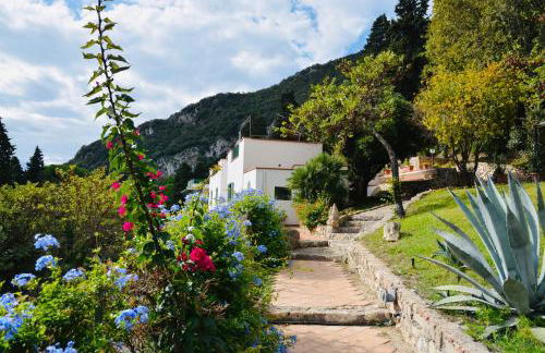 Ippocampo Blanc - Foto 7