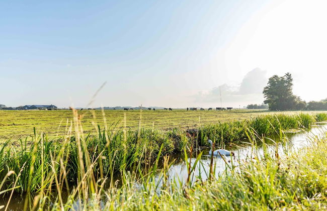 Europarcs De Woudhoeve - Foto 74