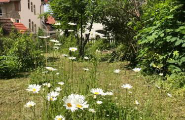 Villa Hanne mit Garten - Foto 30